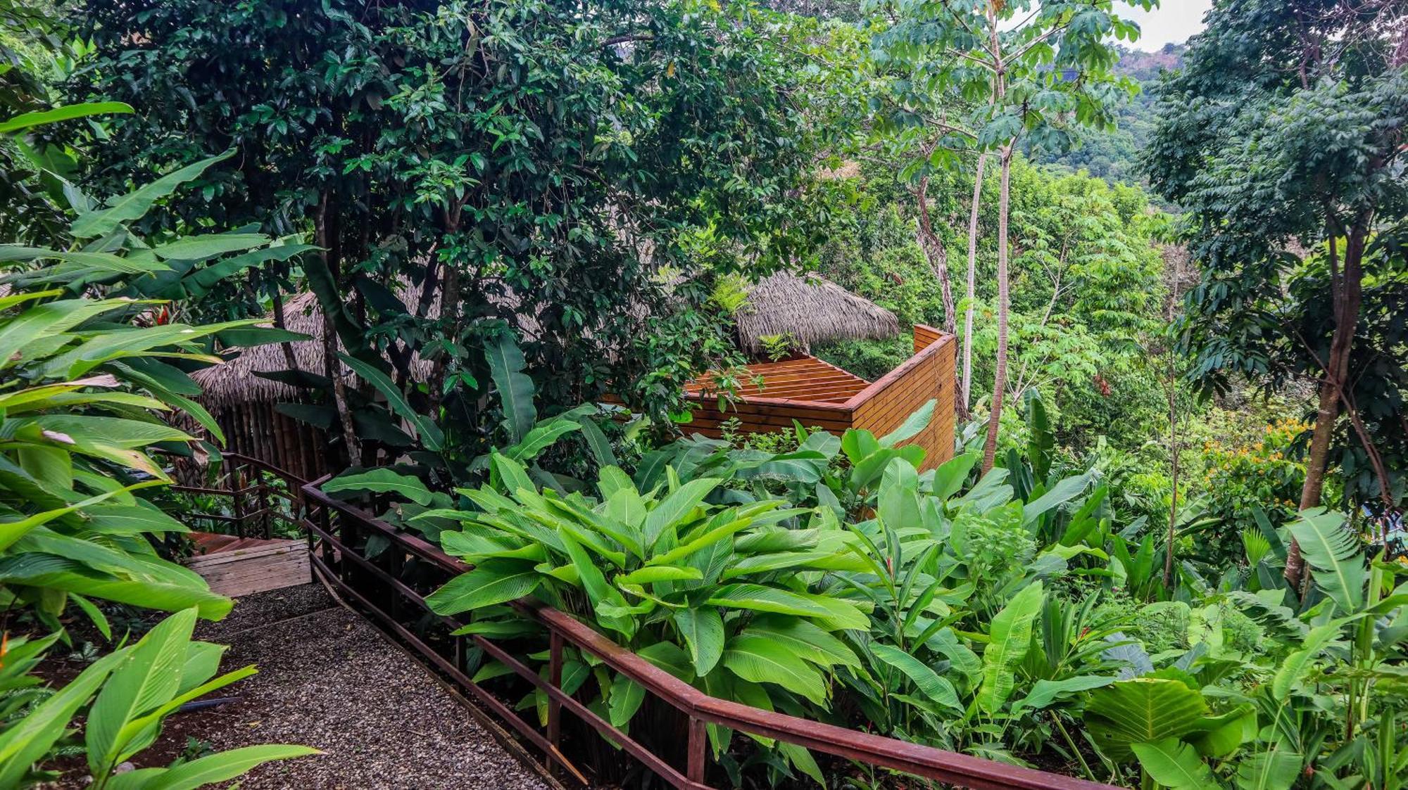 Lapa Rios Lodge By Boeena Puerto Jiménez Екстериор снимка