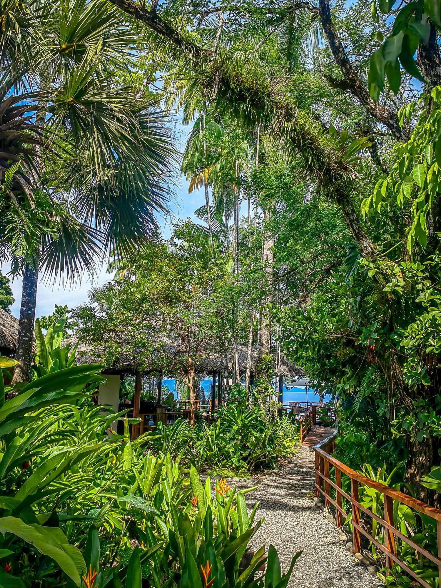 Lapa Rios Lodge By Boeena Puerto Jiménez Екстериор снимка
