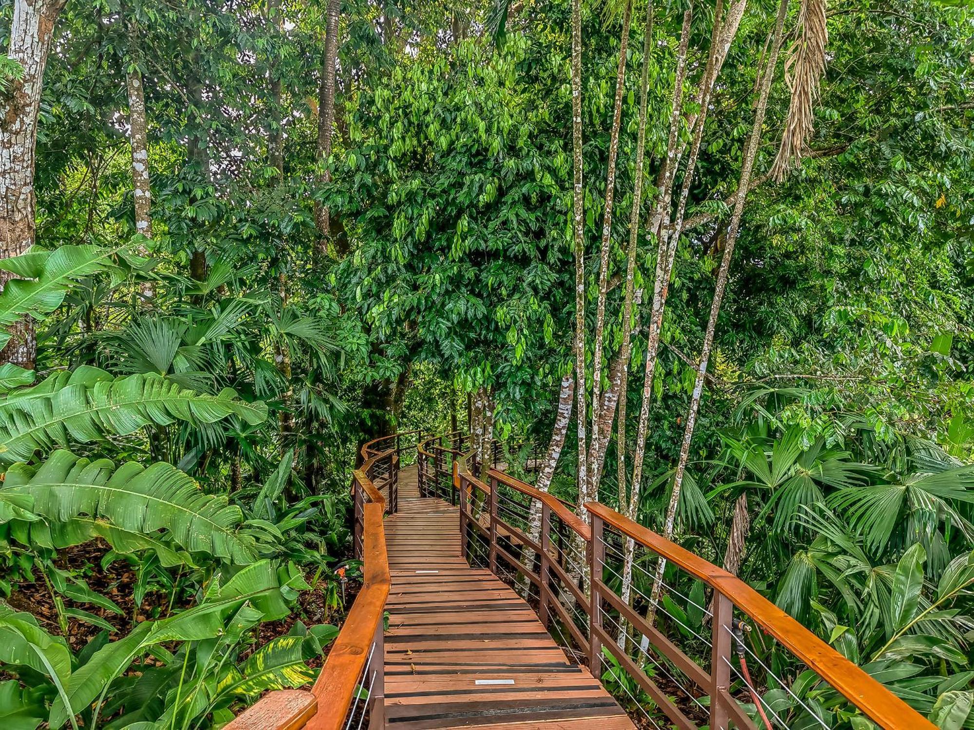 Lapa Rios Lodge By Boeena Puerto Jiménez Екстериор снимка