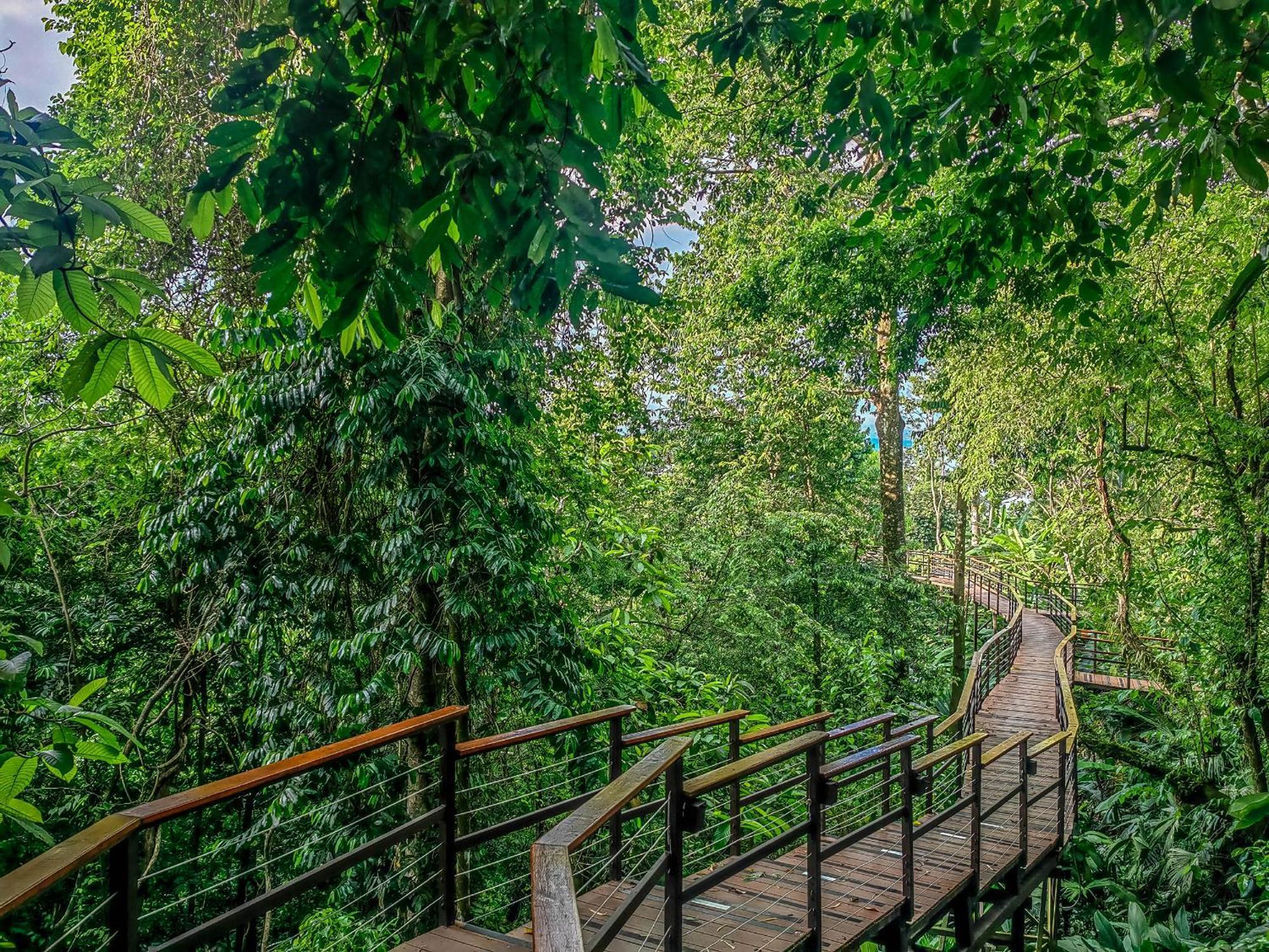 Lapa Rios Lodge By Boeena Puerto Jiménez Екстериор снимка