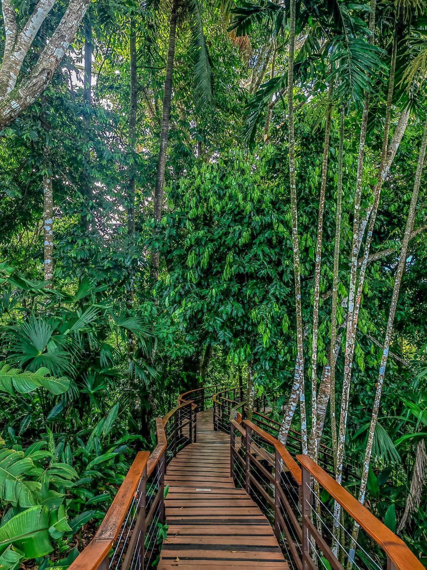 Lapa Rios Lodge By Boeena Puerto Jiménez Екстериор снимка